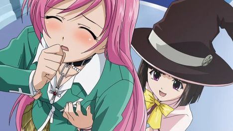 rosario_to_vampire_013