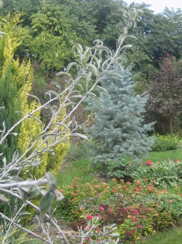 képek20091008 050