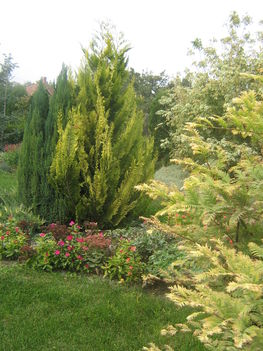 képek20091008 051
