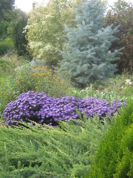 képek20091008 052