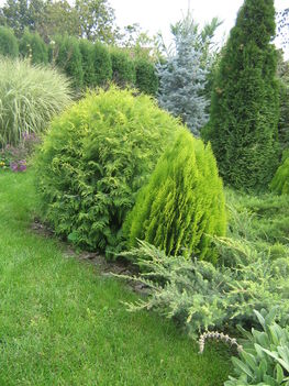 képek20091008 056