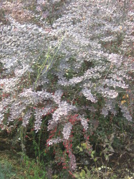 képek20091008 061