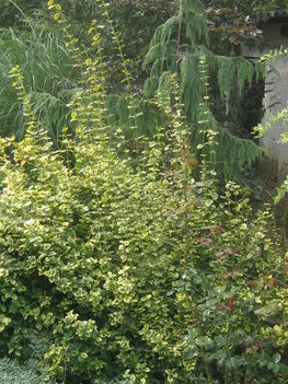 képek20091008 062