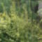 képek20091008 062
