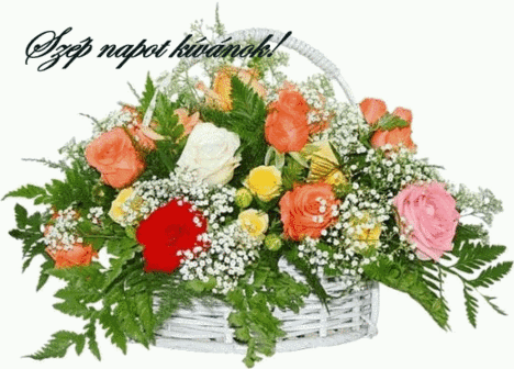 Szép napot kívánok