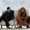 trigun_wash_and_wolfwood_web