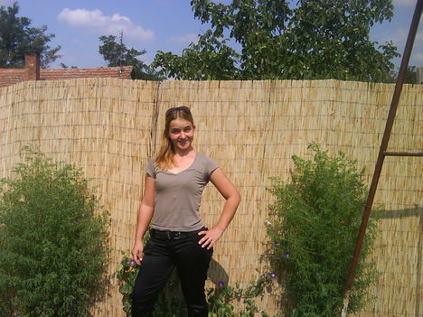 andi 002