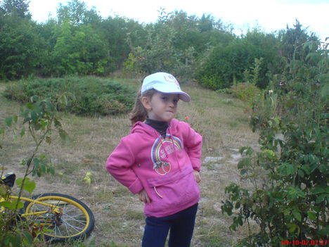 DSC00730