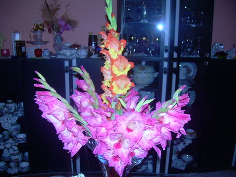 DSCN1629