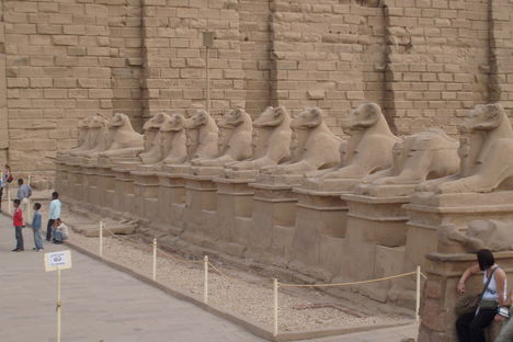 Egyiptom 2009 2