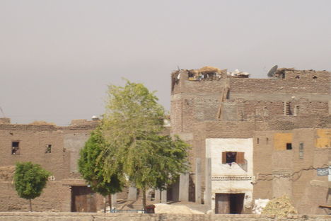 Egyiptom 2009 9