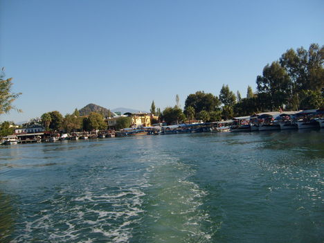 S6300117