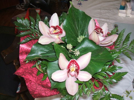szülinapi orchidea