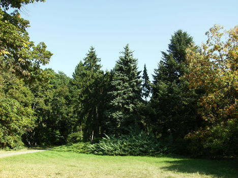 2009  09 26  Szarvason Pepi kertjében 039