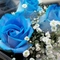 Három kék rózsa