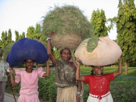 Saranath: nők viszik a fejükön az árut
