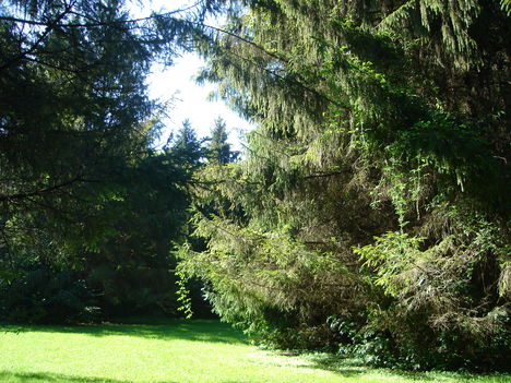 A fény játékai