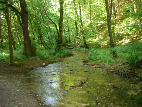 A patak