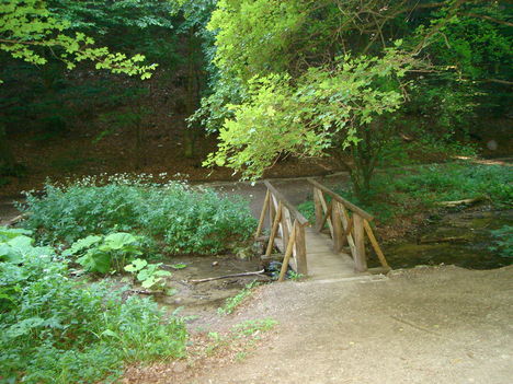 Kötődés