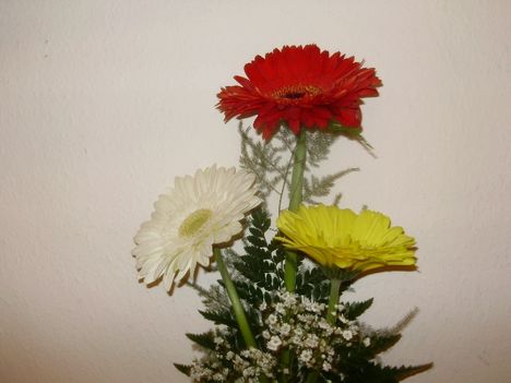 1.-es Nyugdíjasklubban Idősek napi rendezvény.