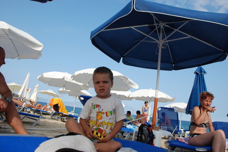 ALEX