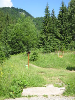 A tetőn