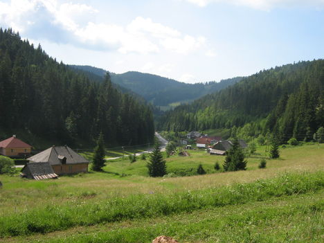 Tájkép, medvék nélkül