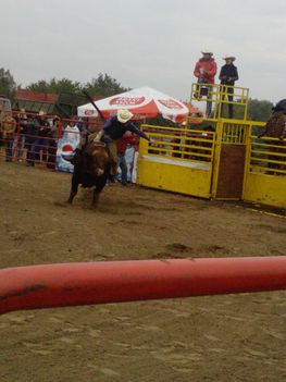 Rodeo Pilis 020