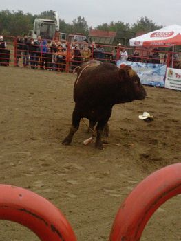 Rodeo Pilis 022