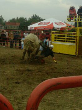 Rodeo Pilis 034