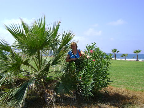 DSC00050