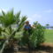 DSC00050