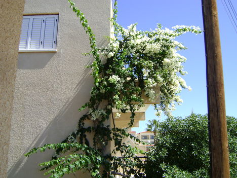 DSC00071