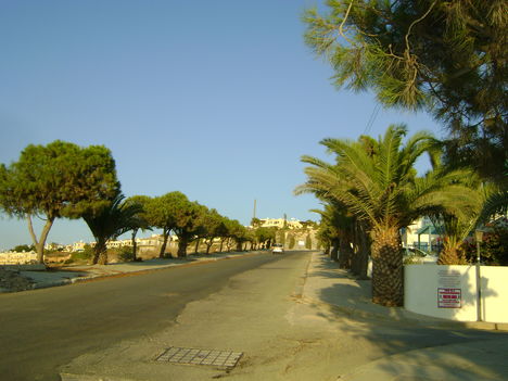 DSC00176