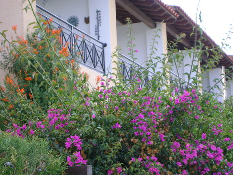 DSC00193