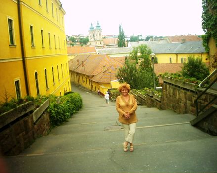 Eger  város