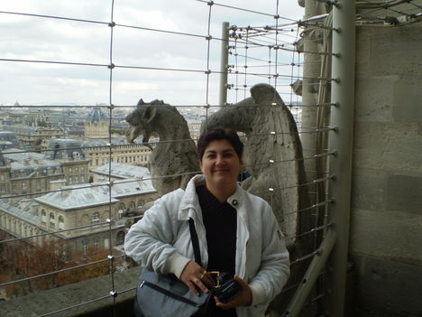 Notre Dame tetején
