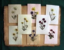 préselt virággal díszített képeslapok (merített papíron)