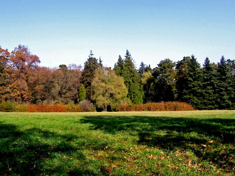 Alcsútdoboz Arborétum 015_edited