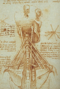 Leonardo Da Vinci