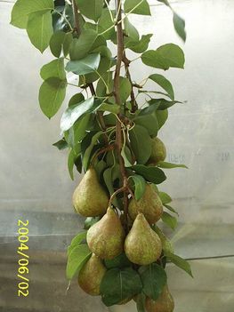 nagyon nehéz
