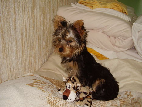 2008.07