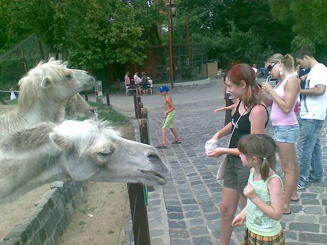 20090705(009)