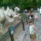 20090705(010)