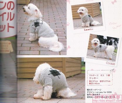 dog0002