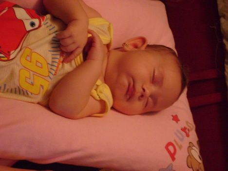 DSC02231