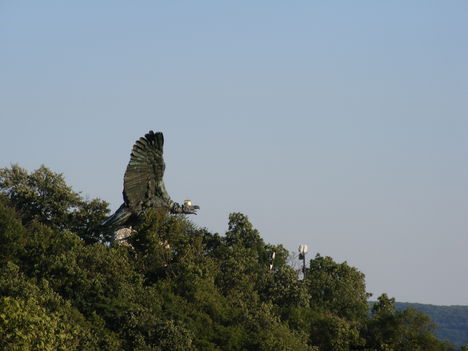 DSCF2535