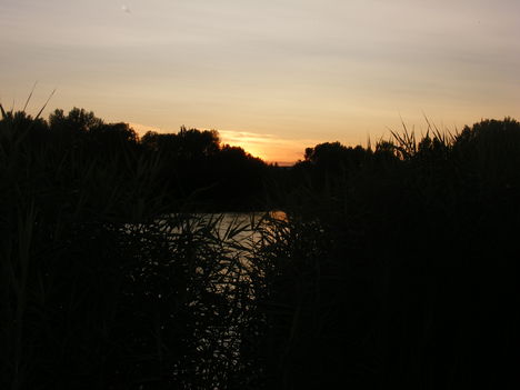 DSCF3232