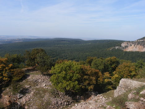 DSCF4230