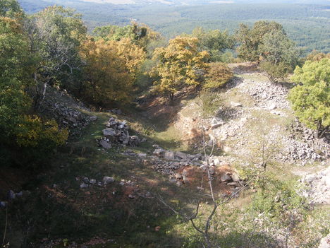 DSCF4233